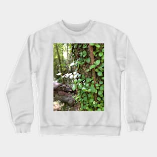 Vine Crewneck Sweatshirt